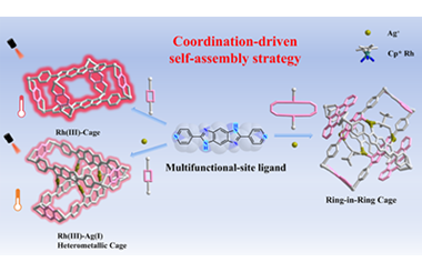 Controlled synthesis and photothermal conversion of Ag+-triggered-hetero-/homo-metallic cages including ring-in-ring systems 2026.101100